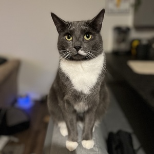 Fundraising Page: Josh Breth